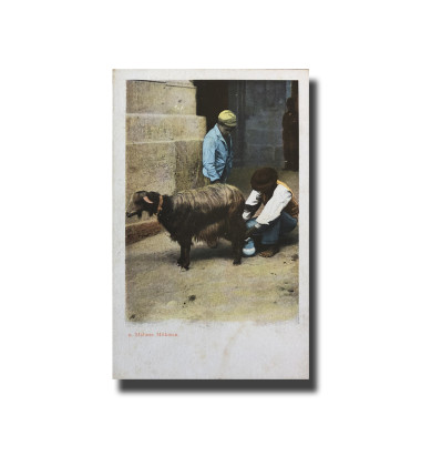 Malta Postcard Vincenzo Galea Milkman New Unappropriated Undivided Back