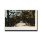 Malta Postcard Vincenzo Galea St Anton Gardens New Unappropriated Undivided Back