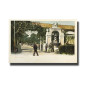 Malta Postcard Vincenzo Galea Maglio Gardens New Unappropriated Undivided Back