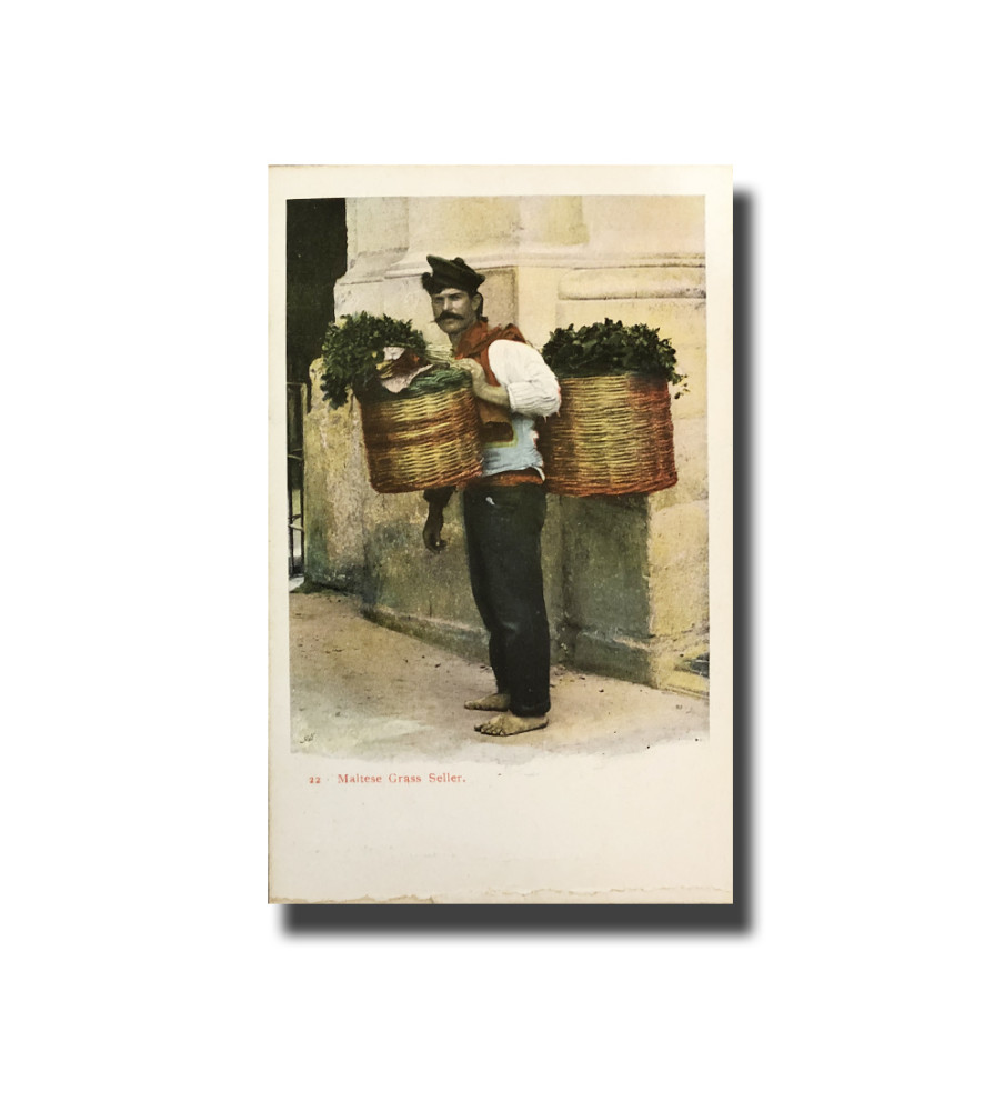 Malta Postcard Vincenzo Galea Grass Seller New Unappropriated Undivided Back