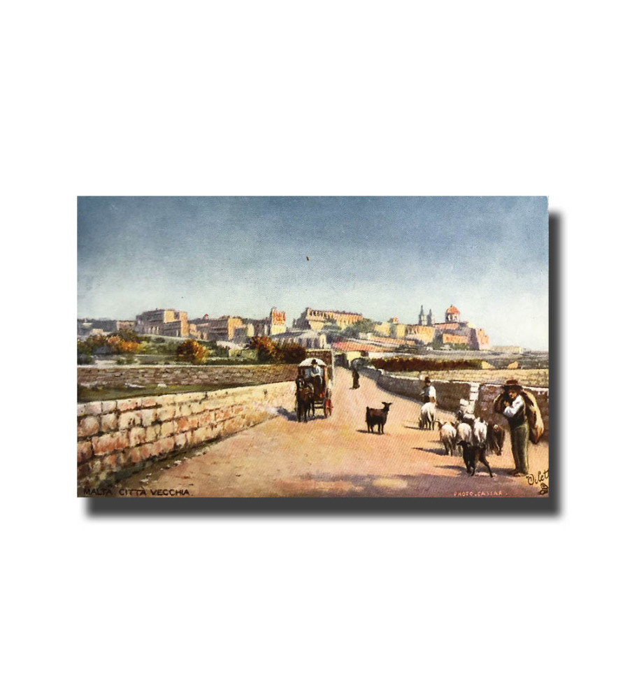 Malta Postcard Tucks Citta Vecchia New Unused Divided Back