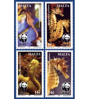 MALTA STAMPS SEAHORSES