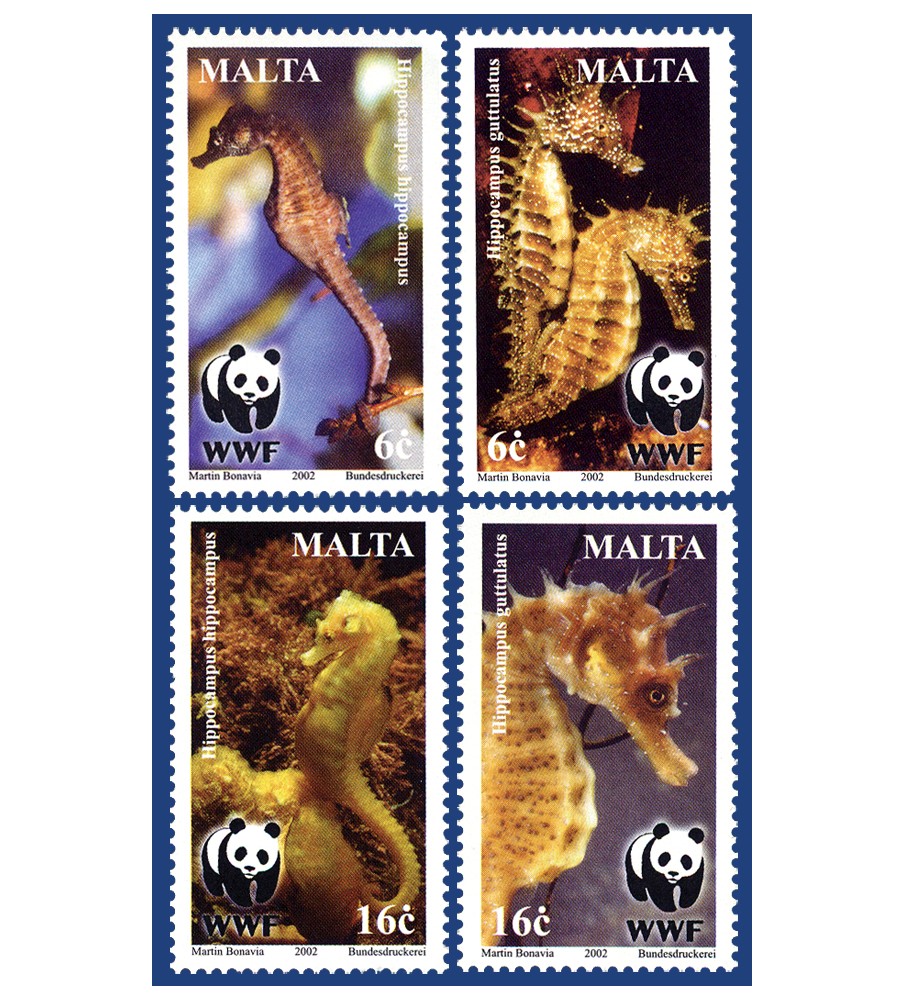 2002 Jan 30 MALTA STAMPS SEAHORSES