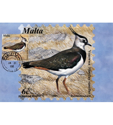 Birds Of Malta 21.01.02