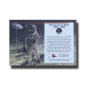 1994 SAID STAMP SOUVENIR SHEET LUNAR LANDING ANNIVERSARY