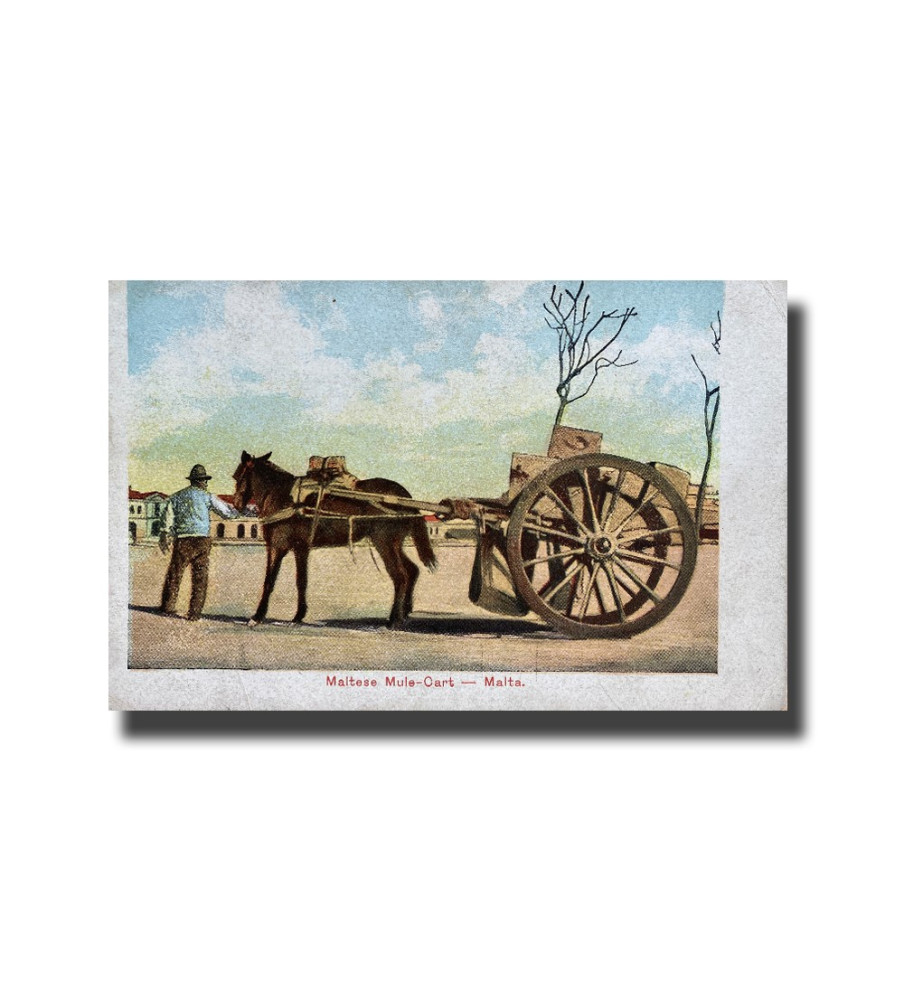 Malta Postcard - Maltese Mule Cart, UPU, New Unused