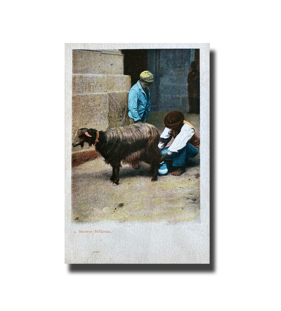 Malta Postcard - Maltese Milkman, New Unused