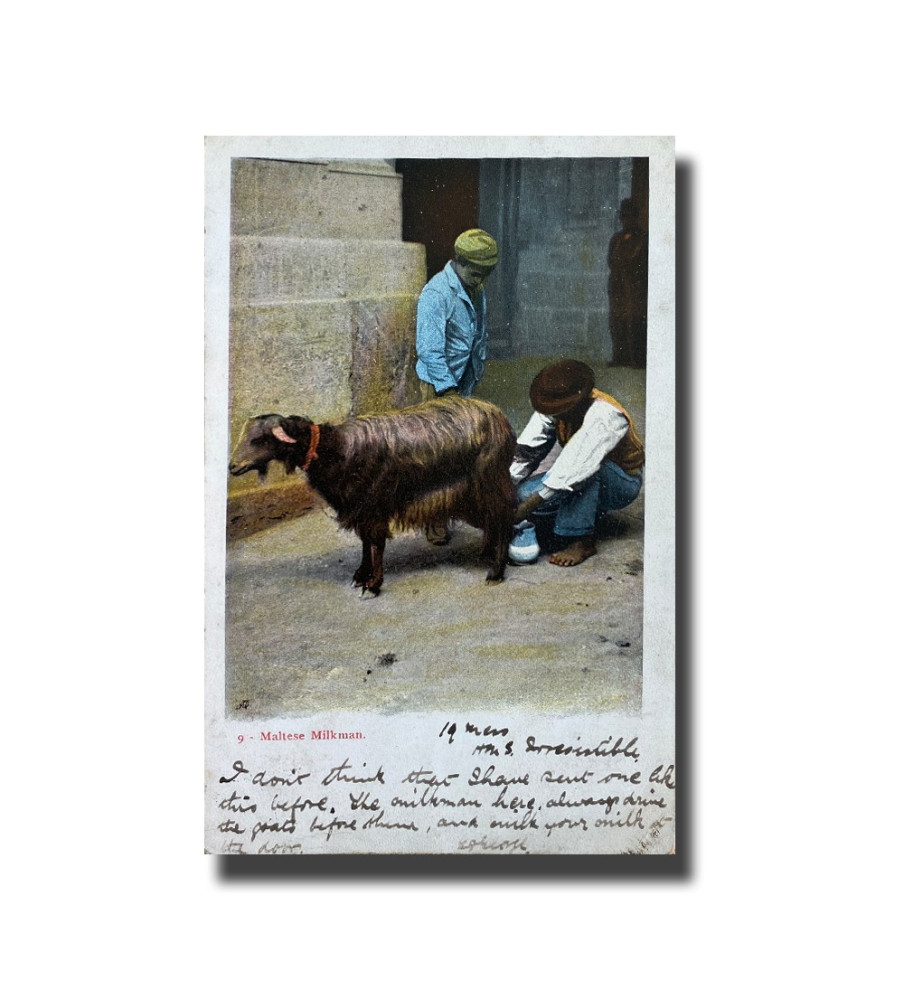 Malta Postcard - Maltese Milkman, Used with Cancellation